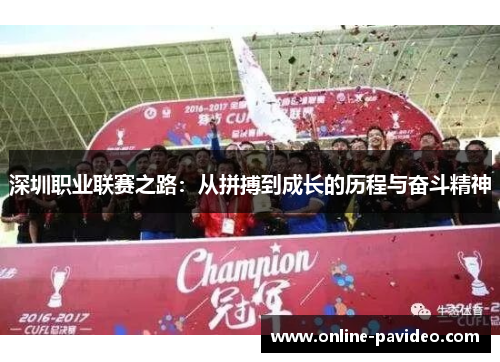 深圳职业联赛之路：从拼搏到成长的历程与奋斗精神