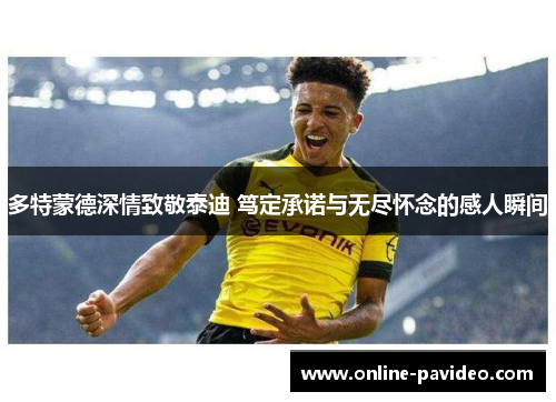 多特蒙德深情致敬泰迪 笃定承诺与无尽怀念的感人瞬间