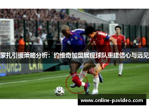 蒙扎引援策略分析：约维奇加盟展现球队重建信心与远见