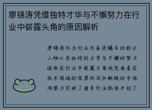 廖锦涛凭借独特才华与不懈努力在行业中崭露头角的原因解析